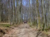  Wanderroute ber die Fuchsgrabenstrae 