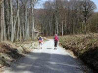  Wanderroute durch den Kierlinger Forst 