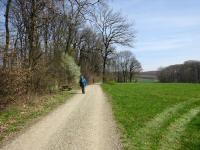 Blick auf die Wanderstrecke beim Eichenhain 