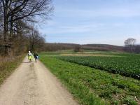 Blick auf die Wanderstrecke beim Eichenhain 