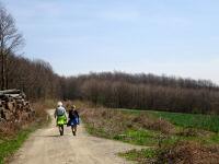 Blick auf die Wanderstrecke beim Eichenhain 