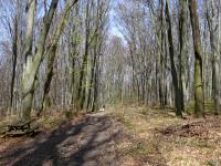  Wanderroute nach Kierling 