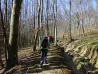  Blick auf die Wanderstrecke 