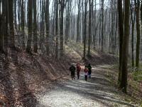  Wanderroute zur Lourdesgrotte im Wienerwald 