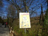  Infotafel bei der Lourdesgrotte im Wienerwald 