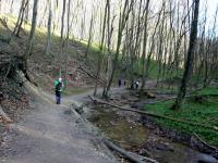  Wanderroute durch die Hagenbachklamm 