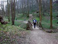  Wanderroute durch die Hagenbachklamm 