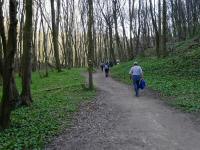  Wanderroute durch die Hagenbachklamm 