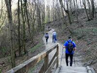  Wanderroute durch die Hagenbachklamm 