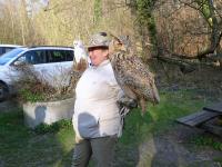 Blick zu den herrlichen und majesttische Tiere der Station 