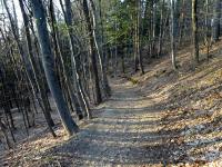  Wanderroute in das Marleitenbachtal 