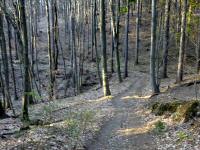  Wanderroute in das Marleitenbachtal 