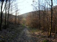  Wanderroute in das Marleitenbachtal 