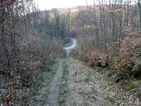  Wanderroute in das Marleitenbachtal 