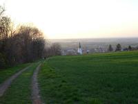 Wanderroute ber den Weinwanderweg nach Knigstetten 