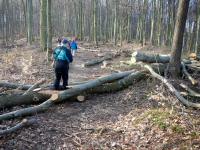  Wanderroute ber den Martinsberg 