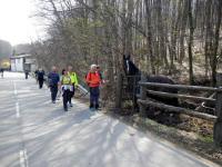 Wanderroute ber die Steinrieglstrae in Weidlingbach