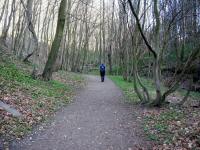  Wanderroute durch die Hagenbachklamm 