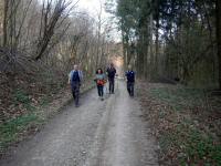  Blick auf die Wanderstrecke im Marleitenbachtal 