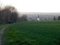 Wanderroute ber den Weinwanderweg nach Knigstetten 