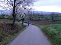 Wanderroute auf dem Hammerling Weg nach Zitternberg 