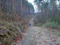  Blick auf die Wanderstrecke 