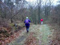  Blick auf die Wanderstrecke 