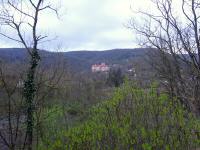  Fernblick zum Schloss Buchberg 