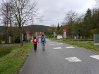  Blick auf die Wanderstrecke in Buchberg am Kamp 