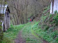  Blick auf die Wanderstrecke zum Kamp  