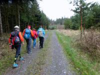 Blick auf die Wanderstrecke durch die Waldriede Burgholz 