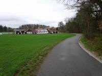 Blick auf die Wanderstrecke durch die Riede Burgholzfeld  