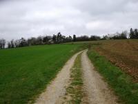  Blick auf die Wanderstrecke 