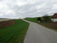 Blick auf die Wanderstrecke bei der Streusiedlung Palt 