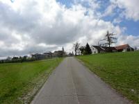 Blick auf die Wanderstrecke nach St. Leonhard am Hornerwald 