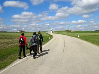 Wanderroute wieder entlang der L57 bei Tautendorf 