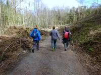  Wanderroute durch das Hirschbachtal 