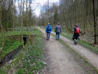  Wanderroute durch das Hirschbachtal 