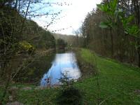  Blick auf einen Fischteich im Hirschbachtal 