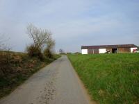 Blick auf die Wanderstrecke am Ortsende von Weinzierl am Walde