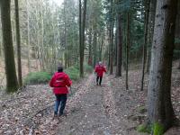  Wanderroute entlang der Altmannsleiten 