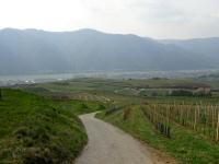 schner Fernblick vom Seiber zum Vorderseiber und weiter zur Donau 