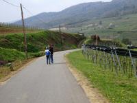  Wanderroute ber den Weinweg 