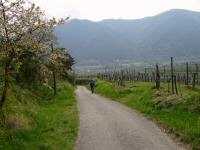  Wanderroute ber den Weinweg 