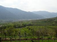 Fernblick nach Joching und nach Wsendorf in der Wachau 