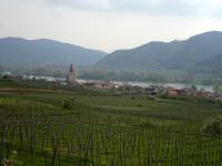  Fernblick nach Weienkirchen in der Wachau