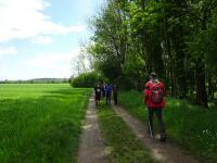  Blick auf die Wanderstrecke mit Gegenverkehr 