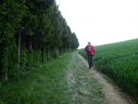  Blick auf die Wanderstrecke 