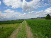  Blick auf die Wanderstrecke 