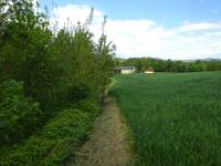  Blick auf die Wanderstrecke 